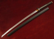 Citadel Katana Battodo (CDK9) Citadel