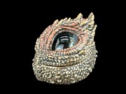 SZKATUŁKA OKO SMOKA VERONESE (WU77326A4)