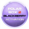 Aktywacja BlackBerry/HTC dla Polar Box'a 2