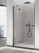 Ronal ANNEA AN13 Gunmetal szczotkowany Drzwi jednoczęściowe ze ścianką stałą w linii 90x200cm lewe grafit szczotkowany AN13G09002607