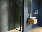 Riho Lucid GD101 drzwi prysznicowe 100x200cm czarne G005003121