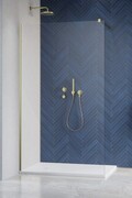 Radaway Modo X Brushed Gold II kabina Walk-in 100-160×250-300 szczotkowane złoto/szkło przejrzyste 10mm 389409-99-01