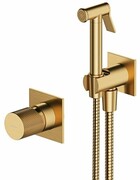 Omnires Contour system bidetowy podtynkowy złoty szczotkowany SYSCTBI1GLB ___ RABAT W KOSZYKU! ___