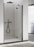 Ronal ANNEA AN13 Gunmetal szczotkowany Drzwi jednoczęściowe ze ścianką stałą w linii 80x200cm prawe grafit szczotkowany AN13D08002607