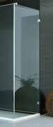 SanSwiss PUR PU31 Ścianka boczna wymiary specjalne 30-100/do 200cm przejrzyste PURDT3SM21007