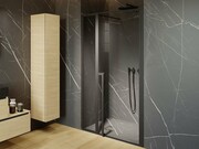 Riho Lucid GD104 drzwi prysznicowe 110x200cm czarne G005004121