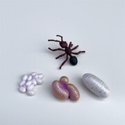 Insect Lore Zestaw Figurek Cykl Życia Mrówki