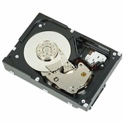 Dell 2TB NL6 7.2K 3.5 Inch Mantaray 1D9NN, 3.5