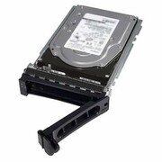 Dell Hard Drive 480GBB SSD SAS Read Intensive 12Gbps 512e 2.5in Hot-plug Drive DELL