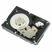 Dell 2TB 7.2K 3.5INCH NL SAS HDD DELL