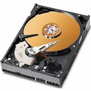 CoreParts 40GB 3,5
