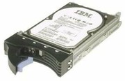 IBM 1TB 6Gbps NL 2,5