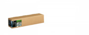 Papier Epson Fine Art Cotton Smooth Natural 24" x 15m 300g/m2 C13S450264 EPSON