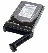 Dell HD 3T NL6 7.2K 3.5 T-HR2 E/C **Refurbished** DELL