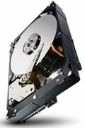 Dysk twardy Seagate Constellation 1TB SATA2 ST31000524NS