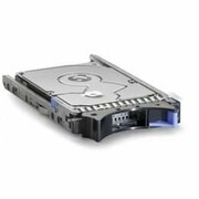 IBM 300GB 6Gbps NL 2,5
