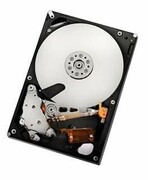 HGST 2TB SATAII 32MB, RAID **Refurbished** hgst