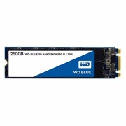 Western Digital 3D NAND SSD **New Retail** 250GB M.2 2280 SATA III 6Gb/s Bulk western digital