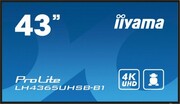 IIYAMA Monitor 43 cale LH4365UHSB-B1 24/7, IPS, ANDROID 11, 4K, 800cd, iiSignage2, SDM, 2x HDMI, DP, 2x USB,2x 10W, RJ45, WiFi, IIYAMA