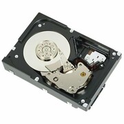 Dell Hard Drive 2TB SAS 7.2K 3.5in **Refurbished** DELL