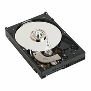 Dell HD, 1TB, 512b, SAS6, 7.2K RPM, 3.5 inch, 64MB, Toshiba, Harrier-2, (Enterprise Class) GPP3G, 3.5