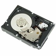 Dell HD, 4TB, 512b, NL-SAS6, 7.2K RPM, 3.5