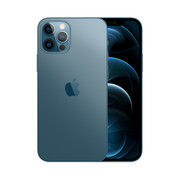 Smartfon Apple iPhone 12 Pro 256GB - zdjęcie 1