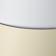 Karton ozdobny Floryda 220g/m2 Argo S.A.