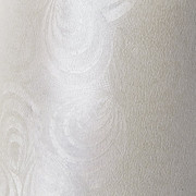 Karton ozdobny Pawie Pióro - op. 20 szt A4, 230 g/m Argo S.A.