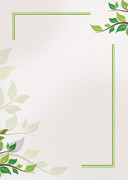 Dyplom Green 170g/m2 Argo S.A.