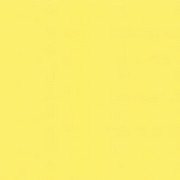 Brystol A1 jasnożółty Argo S.A.