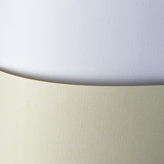 Papier ozdobny Holland Argo S.A.