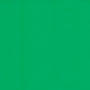 Brystol A1 zielony Argo S.A.