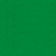 Brystol A1 ciemnozielony Argo S.A.