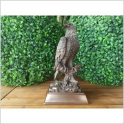 RZEŹBA ORZEŁ - VERONESE (WU76779A4) Veronese