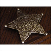 ZŁOTA ODZNAKA SHERIFF LINCOLN (104) Denix