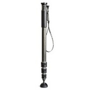 Gitzo GM2542 - Monopod fotograficzny seria 2, 4 sekcje
