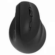 YENKEE Mysz bezprzewodowa ergonomiczna praworęczna,akumulator Dual WL+BT YENKEE