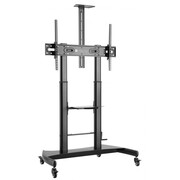 Techly Mobilny stojak do tv 60-100 cali 100kg lub tablicy interaktywnej Techly