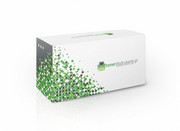 Toner HP (CE278A - 2,1 tis.) LJ Pro P1566 - czarny (black) - zamiennik - zdjęcie 50