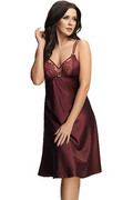 Gorsenia K518 Queen