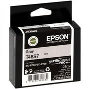 Tusz Epson T46S7 Gray 25ml. SC-P700 Epson