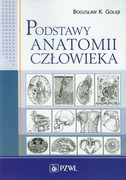 9788320037562 Podstawy anatomii człowieka Gołąb Bogusław K. PZWL