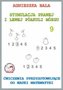 9788361022343 Ćwiczenia przygotowujące do nauki matematyki - Zeszyt ćwiczeń 9 Agnieszka Bala Arson