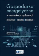 9788301225834 Gospodarka energetyczna w warunkach rynkowych Wydawnictwo Naukowe PWN