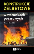 9788301203351 Konstrukcje żelbetowe w warunkach pożarowych Kowalski Robert Wydawnictwo Naukowe PWN