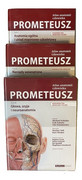 978-83-7846-042-2 Prometeusz Atlas Anatomii Człowieka. Nomenklatura Angielska Komplet Tomy 1-3 MedPharm