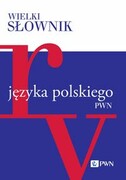 9788301229757 Wielki słownik języka polskiego Tom 4 Wydawnictwo Naukowe PWN