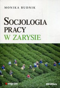 9788380856141 Socjologia pracy w zarysie Budnik Monika Difin