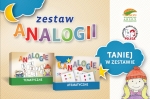 Zestaw Analogii Anna Nallur, Anna Nepomuceno Arson